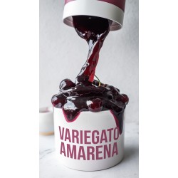 VARIEGATO AMARENA C